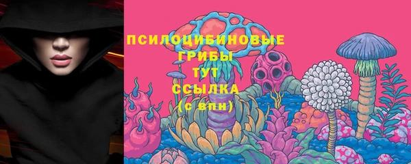 МДПВ Осинники