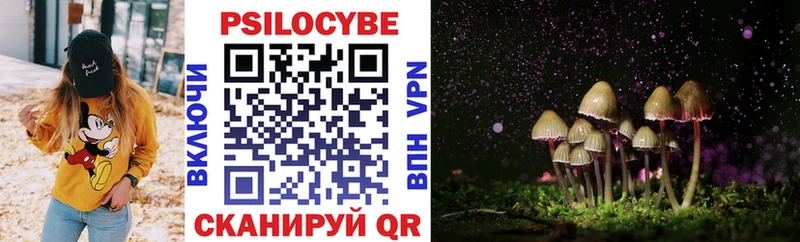 ссылка на мегу ссылка  Берёзовский  Псилоцибиновые грибы мицелий  купить наркоту 